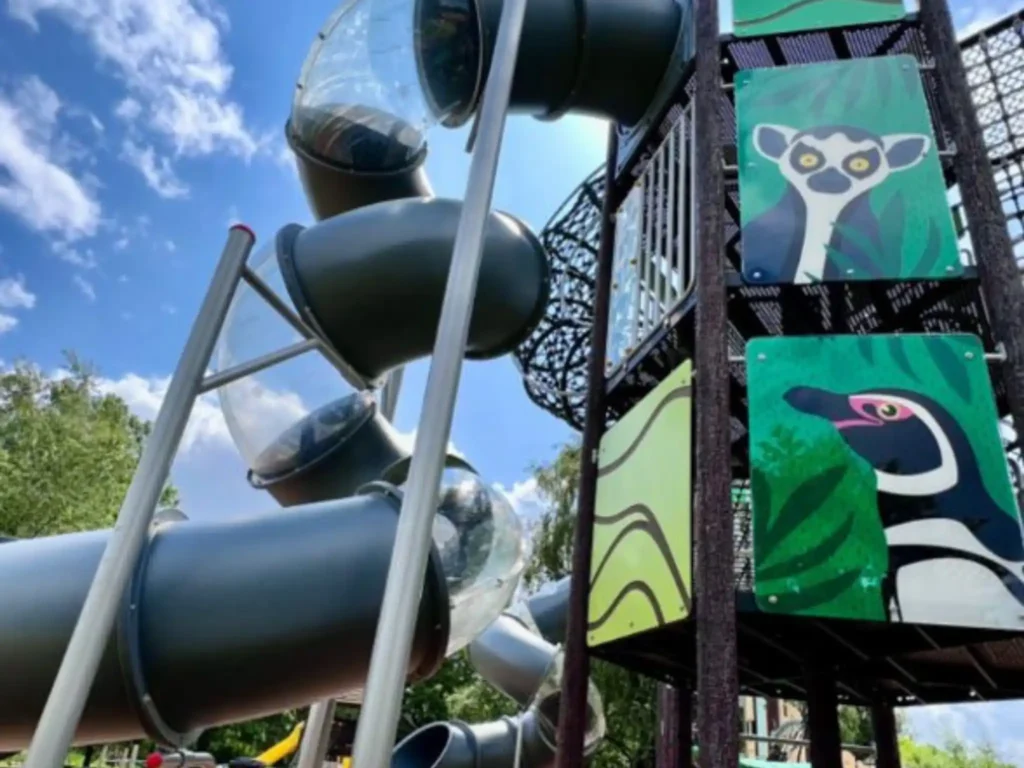 jungle adventure playground1
